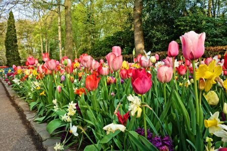 Am&eacute;nager son ext&eacute;rieur avec des bordures de jardin&nbsp;: comment bien s&rsquo;y prendre&nbsp;?