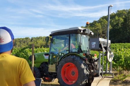 Complantation des pieds de vigne : les outils indispensables