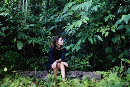 Les plantes dépolluantes : comment fonctionnent-elles ?