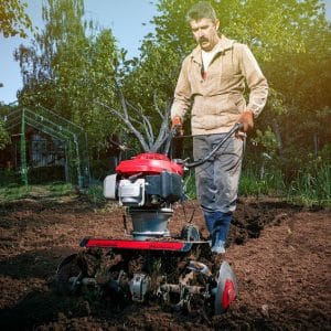 Comment cultiver ses propres légumes dans son jardin ?