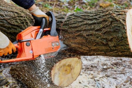 Conseils pour un abattage d&rsquo;arbre rapide et sécurisé avec élagage