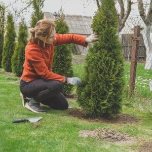 Canton de fribourg : comment aménager son jardin pour augmenter la valeur de sa maison ?